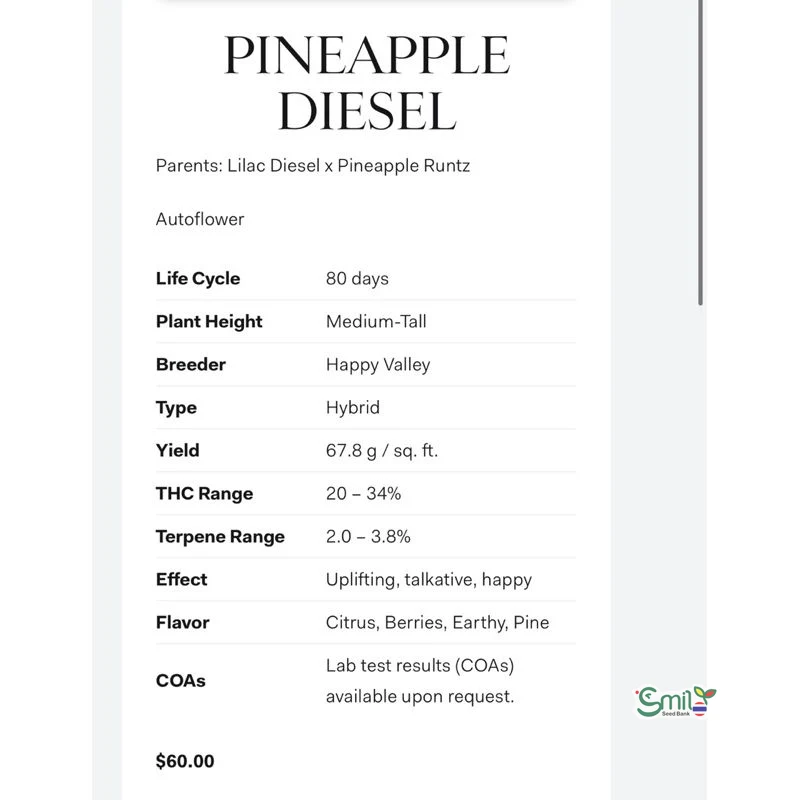 Pineapple Diesel Auto — 5