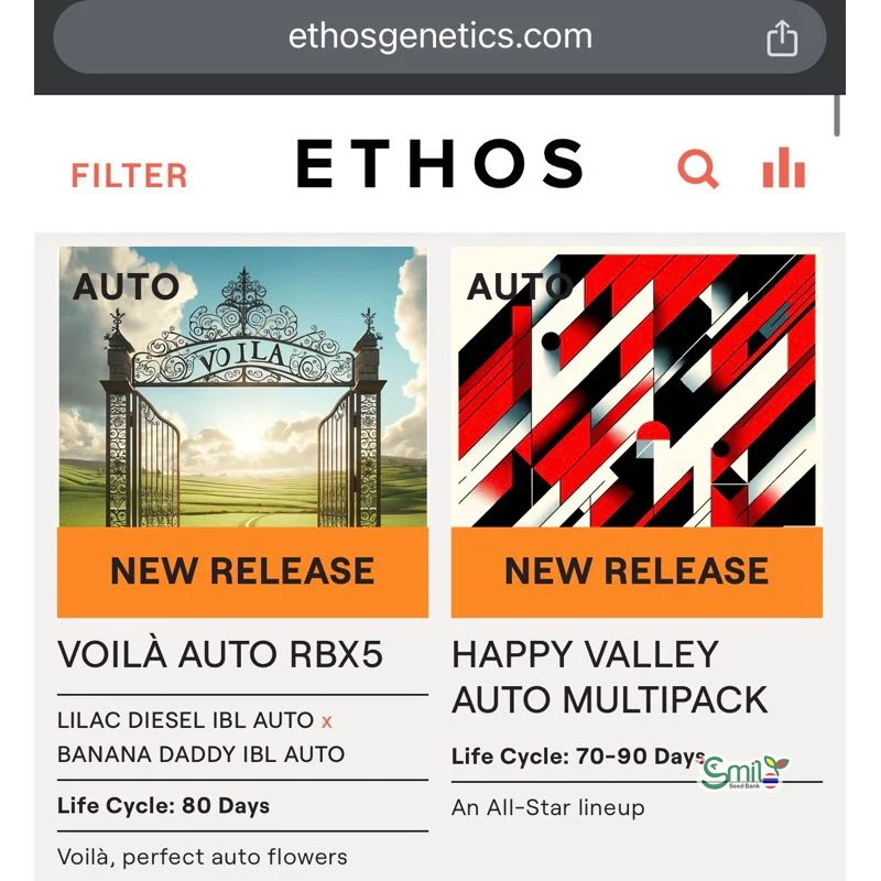 Happy Valley AUTO Multipack — 2