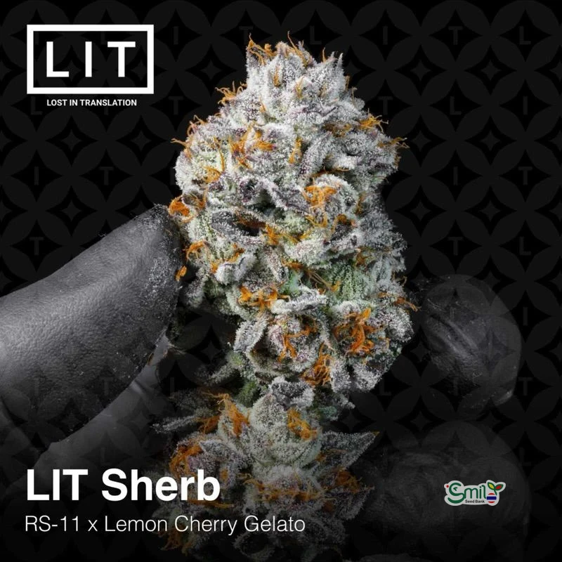 LIT Sherb — 2