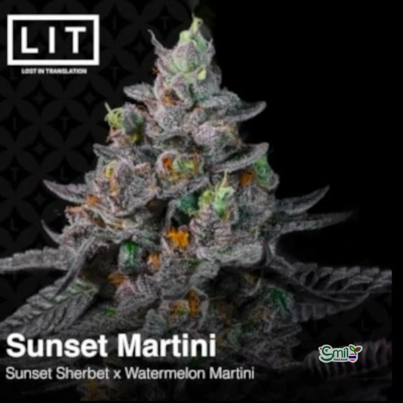 Sunset Martini — 2