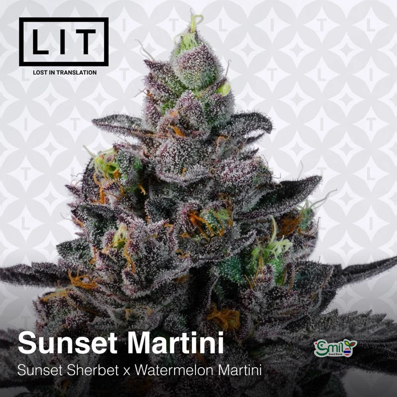 Sunset Martini — 3