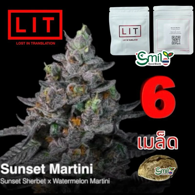 Sunset Martini — 4