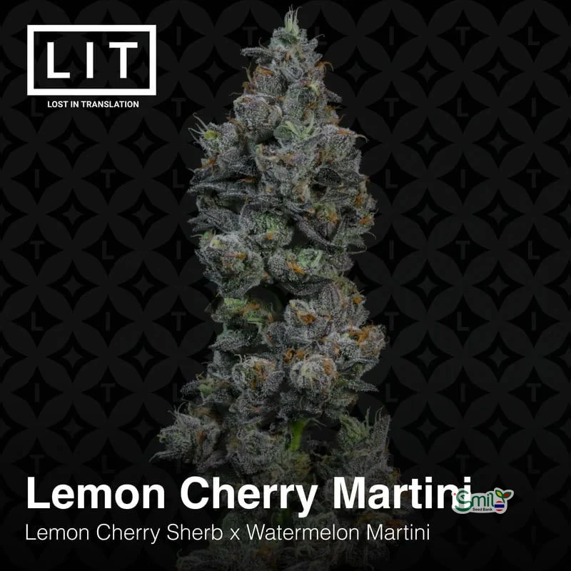 Lemon Cherry Martini — 4