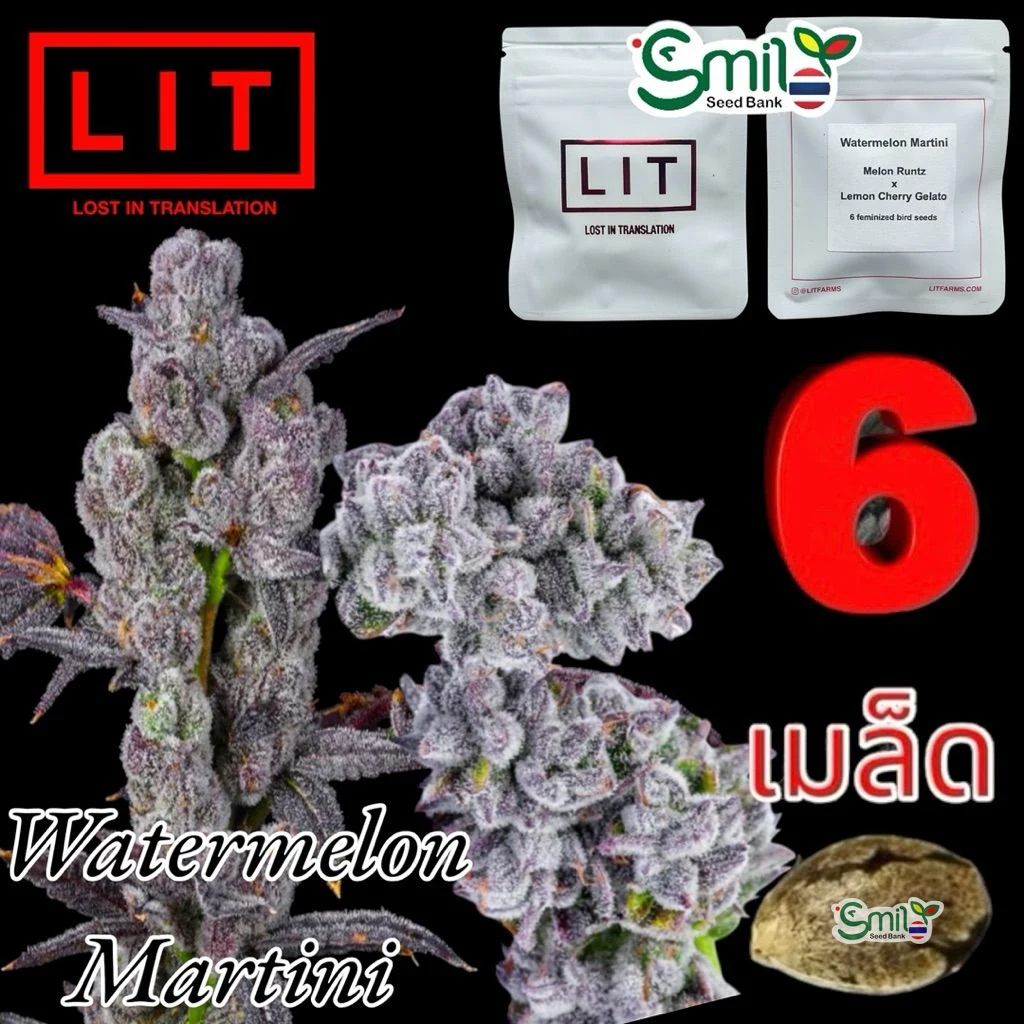 Watermelon Martini — 5