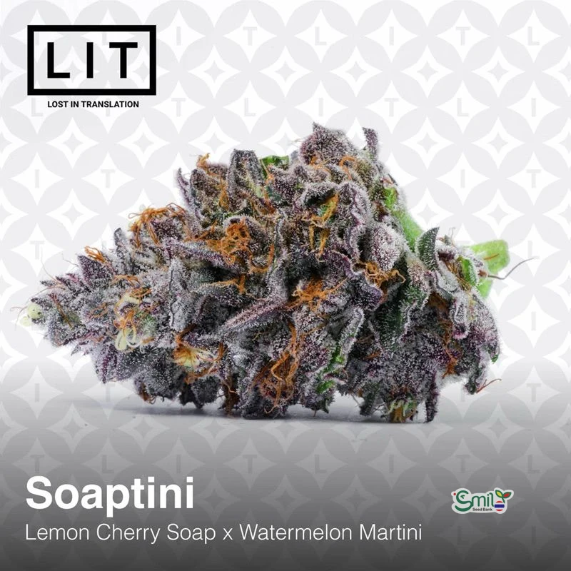 Soaptini — 5