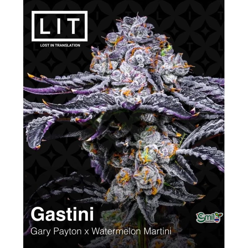 Gastini — 4