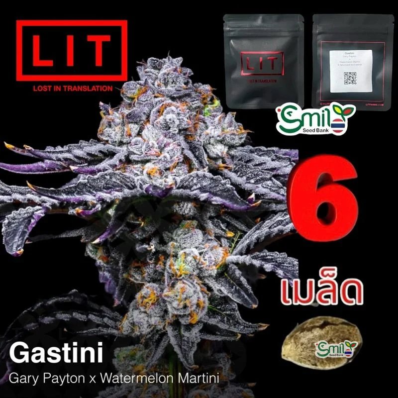 Gastini — 5