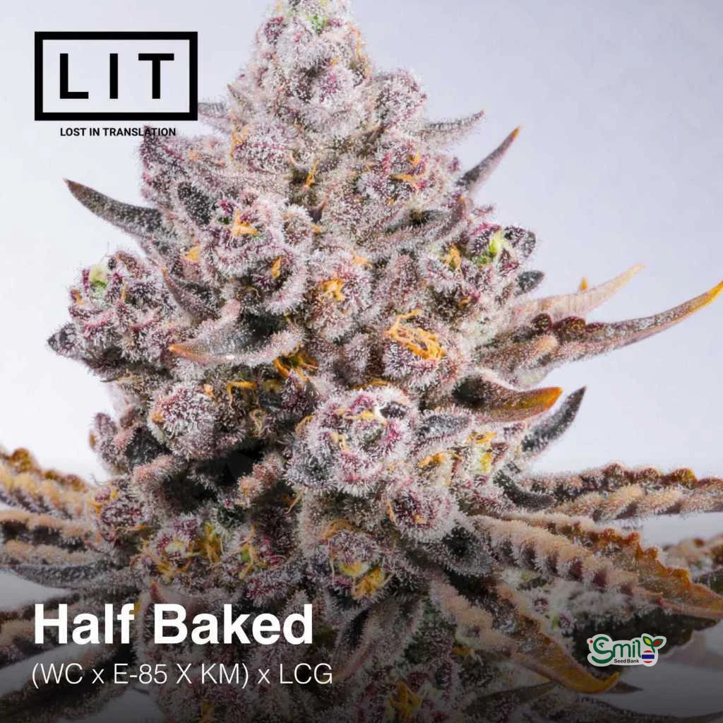 Half Baked — 2