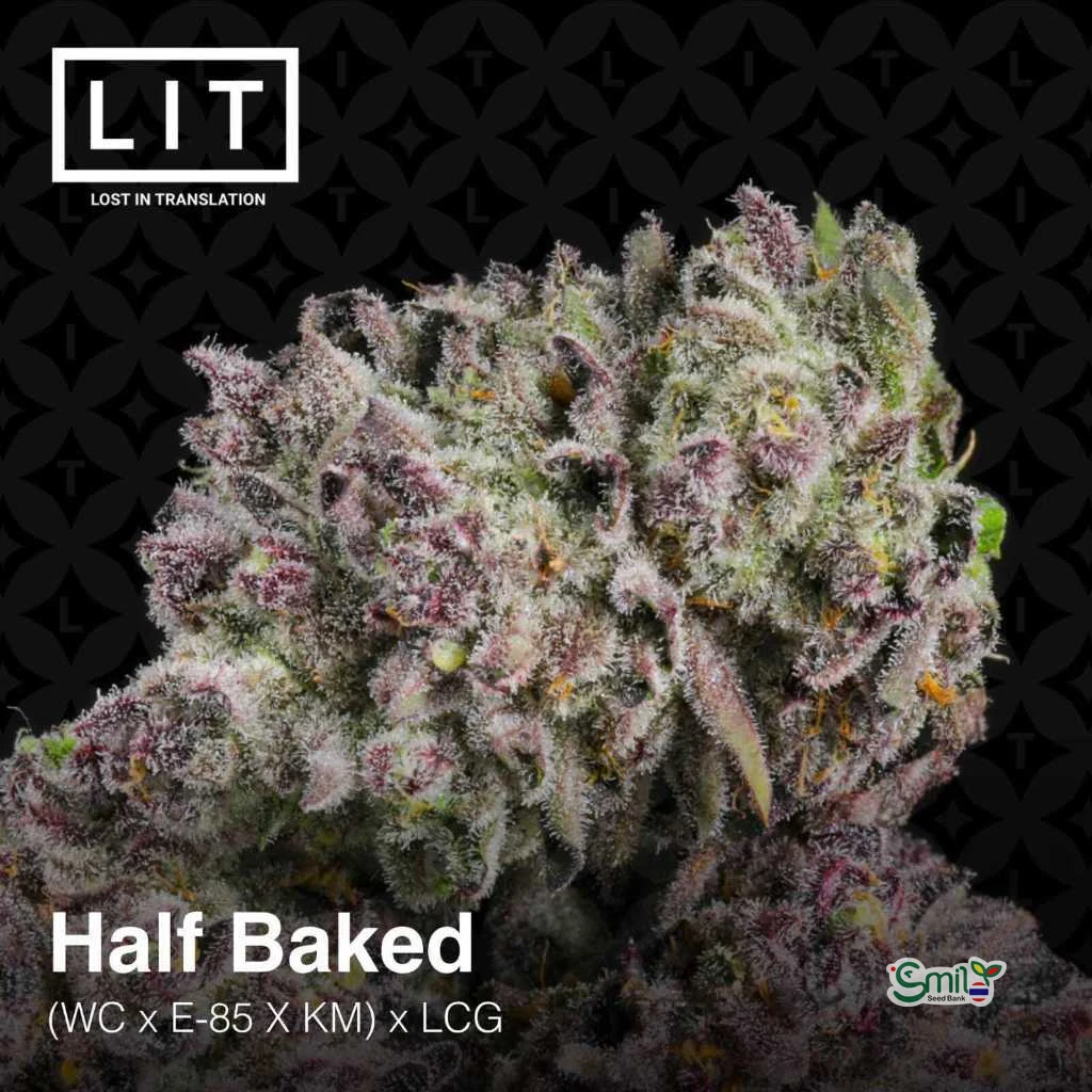 Half Baked — 4