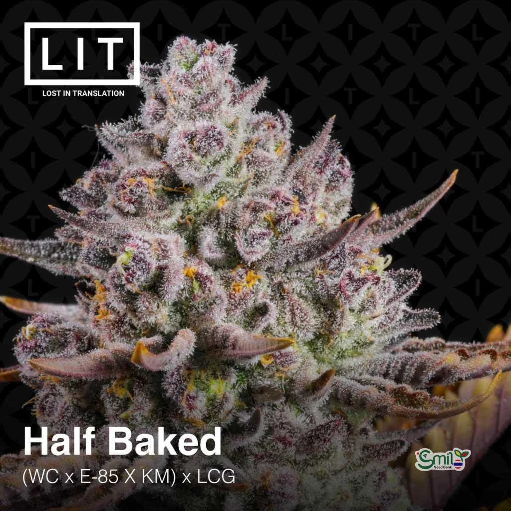 Half Baked — 5