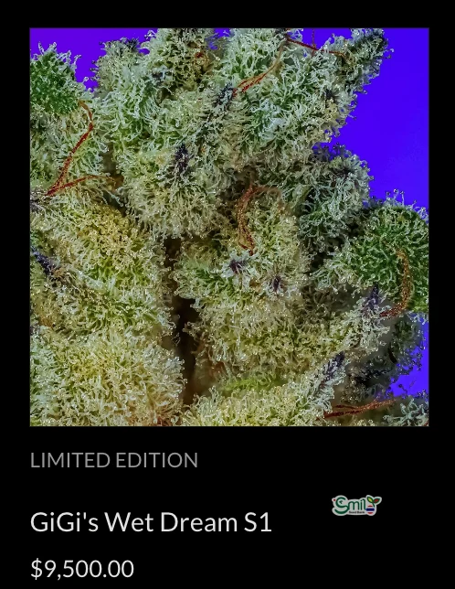 GiGi's Wet Dream S1 — 4