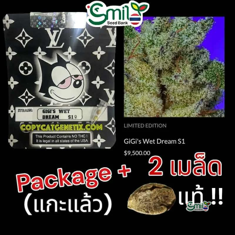 GiGi's Wet Dream S1 — 5