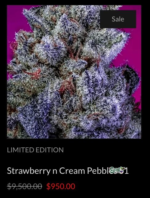 Strawberry n Cream Pebbles S1 — 4