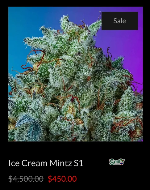 Ice Cream Mintz S1 — 3