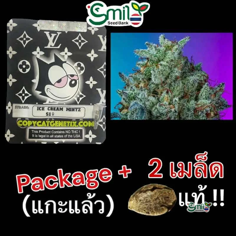 Ice Cream Mintz S1 — 4