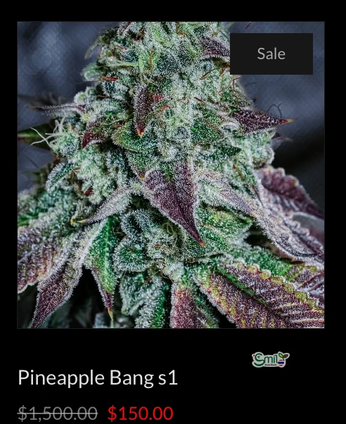 Pineapple Bang S1 — 3