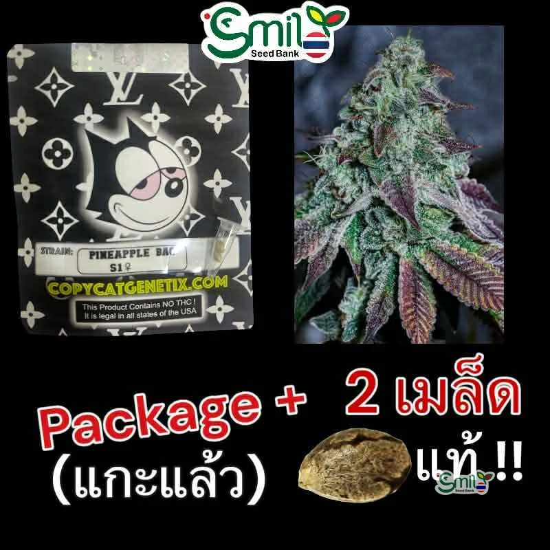 Pineapple Bang S1 — 4