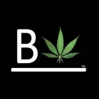 Beleaf Seeds logo
