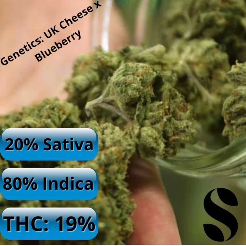 Blue Cheese — 3