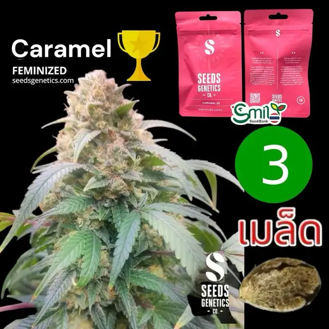 Caramel — 1