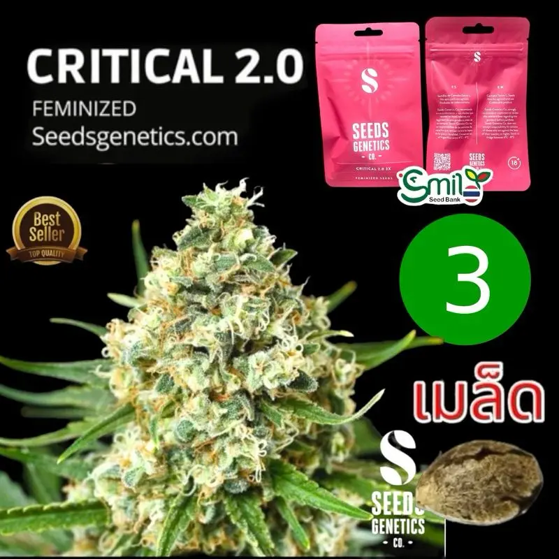 Critical 2.0 — 1