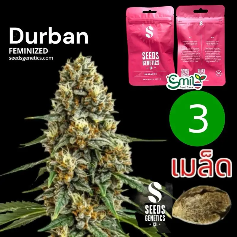 Durban — 1