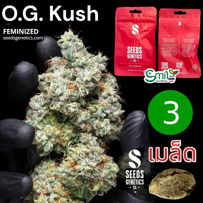 O.G. Kush