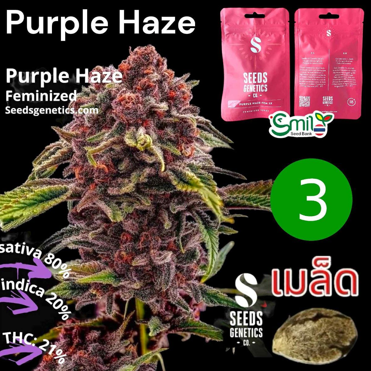 Purple Haze