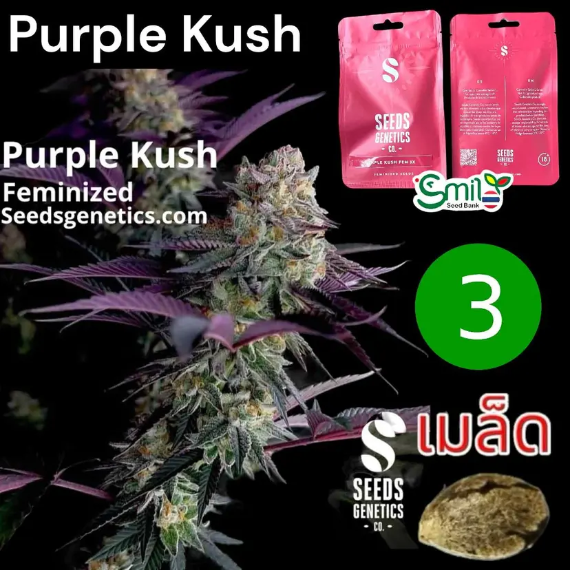 Purple Kush — 1
