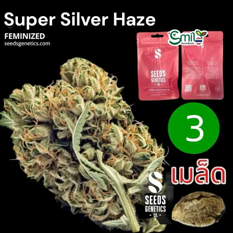 Super Silver Haze — 1