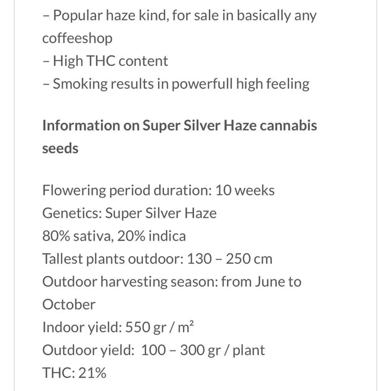 Super Silver Haze — 3