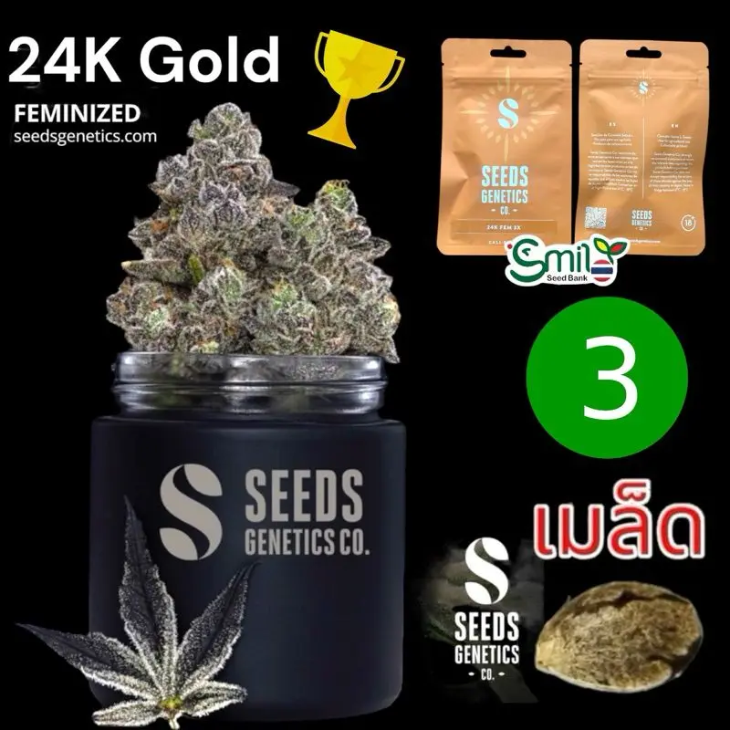 24K Gold — 1