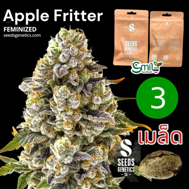 Apple Fritter — 1