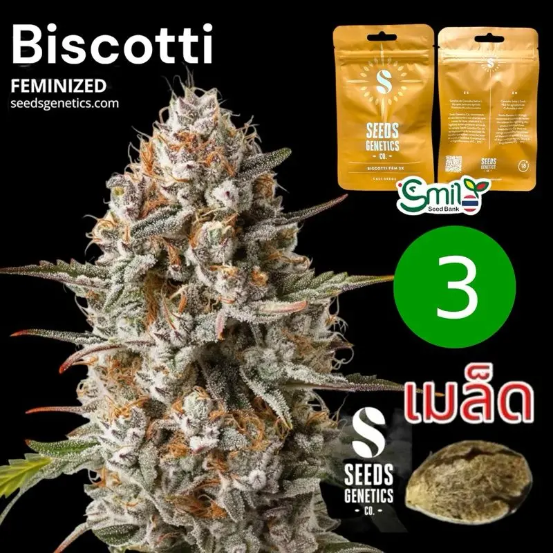 Biscotti — 1