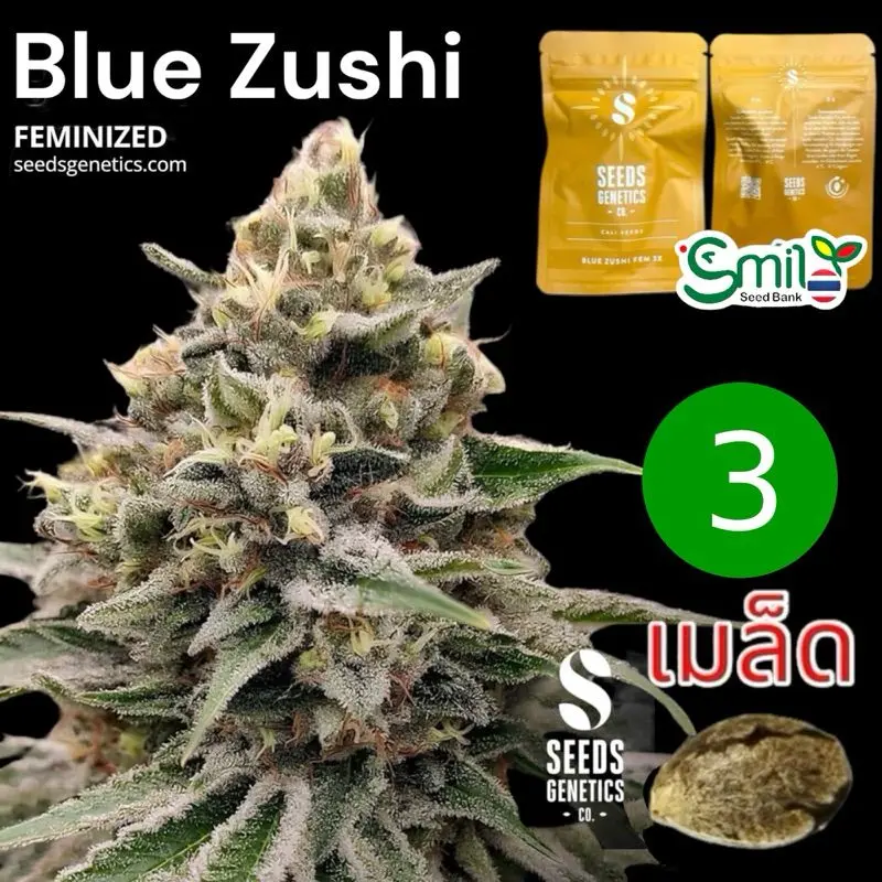 Zushi — 1