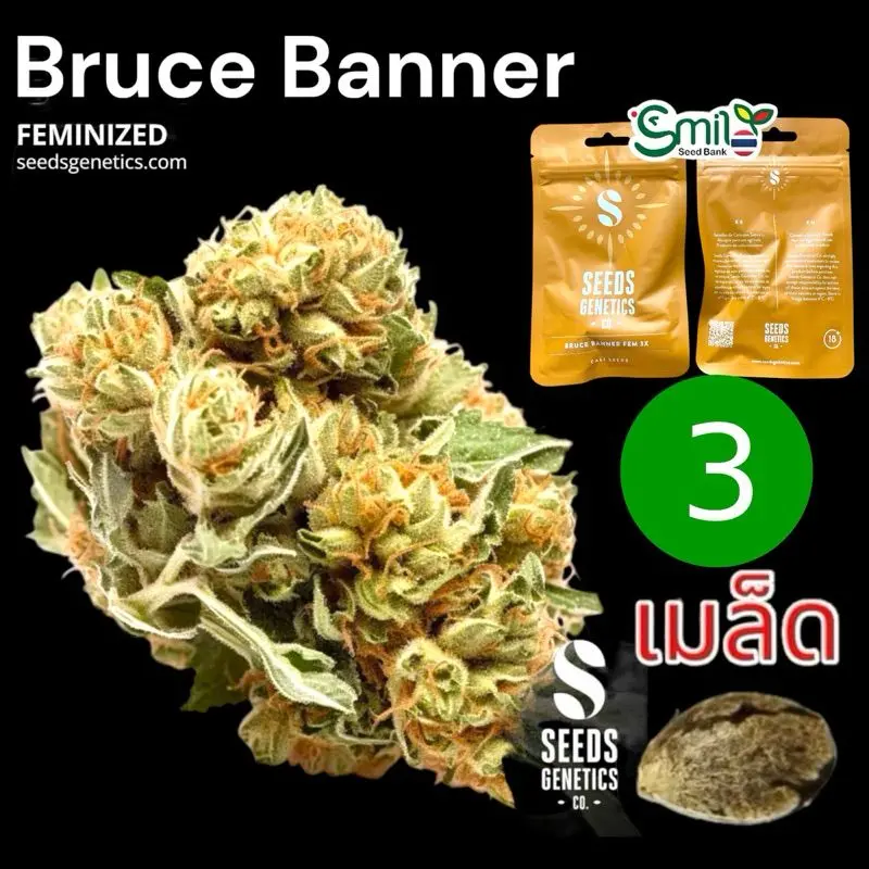 Bruce Banner — 1
