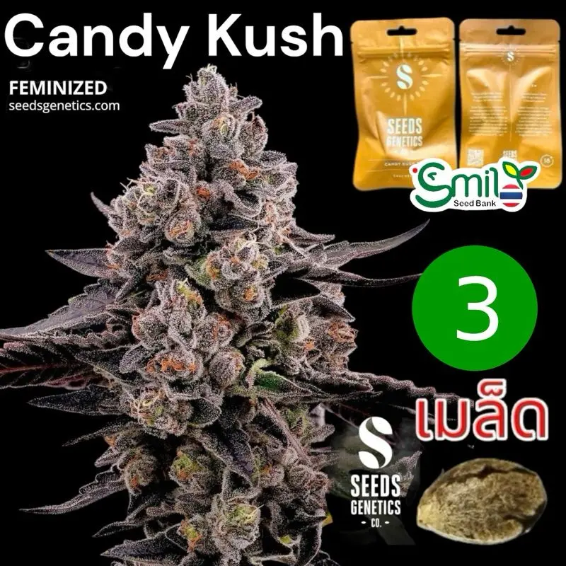 Candy Kush — 1