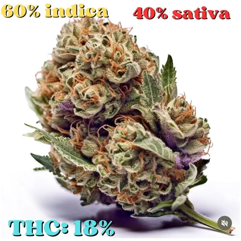Candy Kush — 5