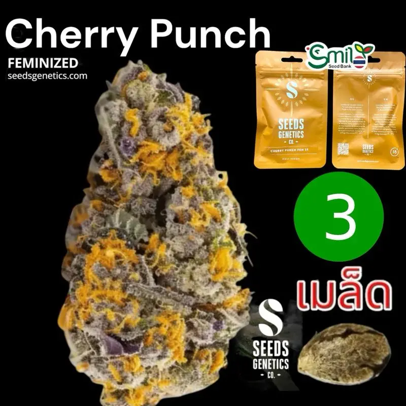 Cherry Punch — 1