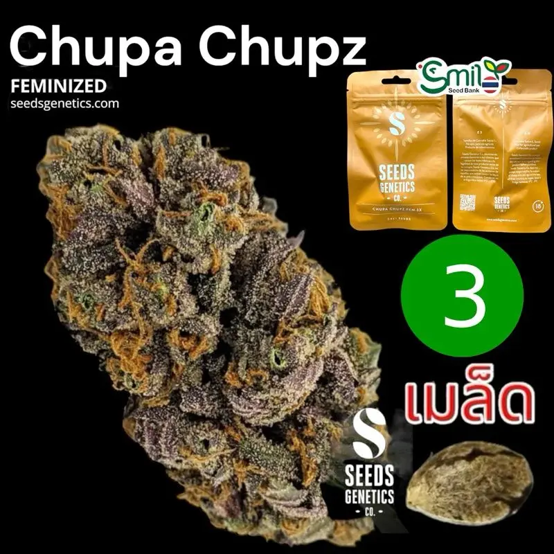 Chupa Chupz or Zupa Zips — 1