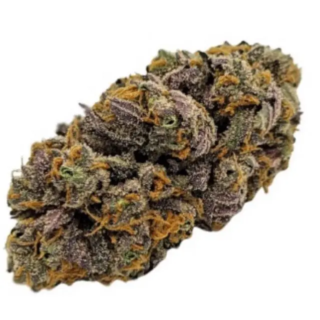Chupa Chupz or Zupa Zips — 5