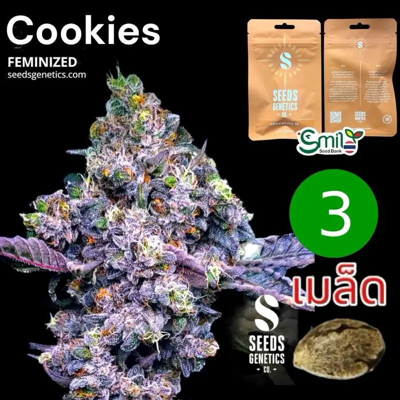 Cookies — 1
