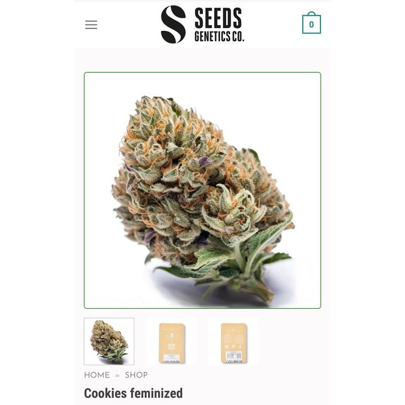 Cookies — 2