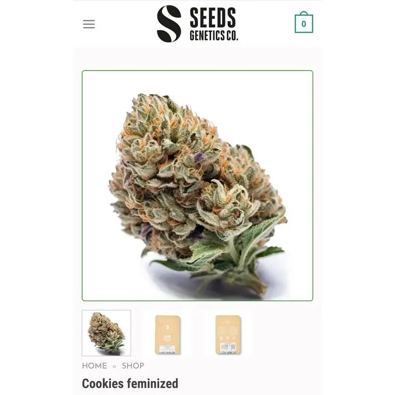 Cookies — 2