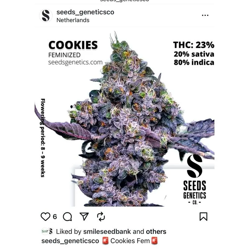 Cookies — 3