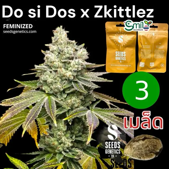 Do Si Dos x Zkittlez — 1