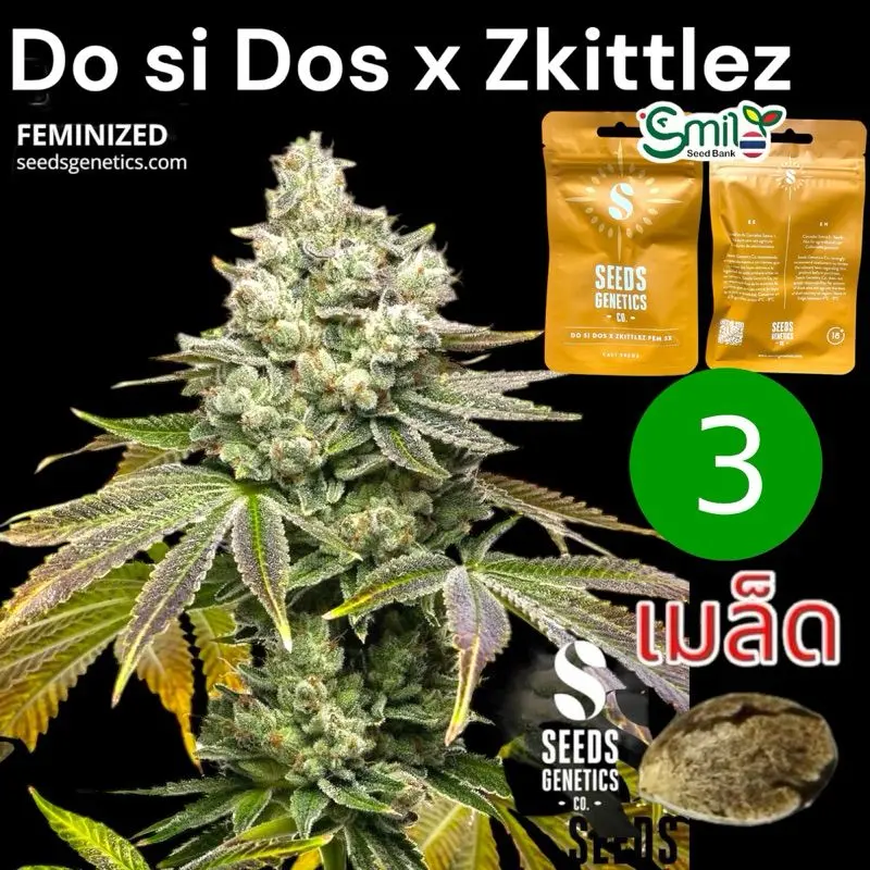 Do Si Dos x Zkittlez — 1
