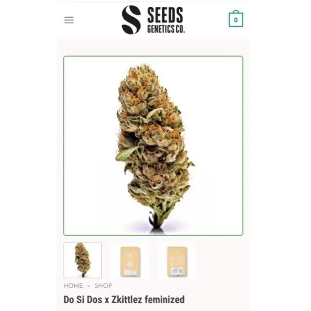 Do Si Dos x Zkittlez — 5