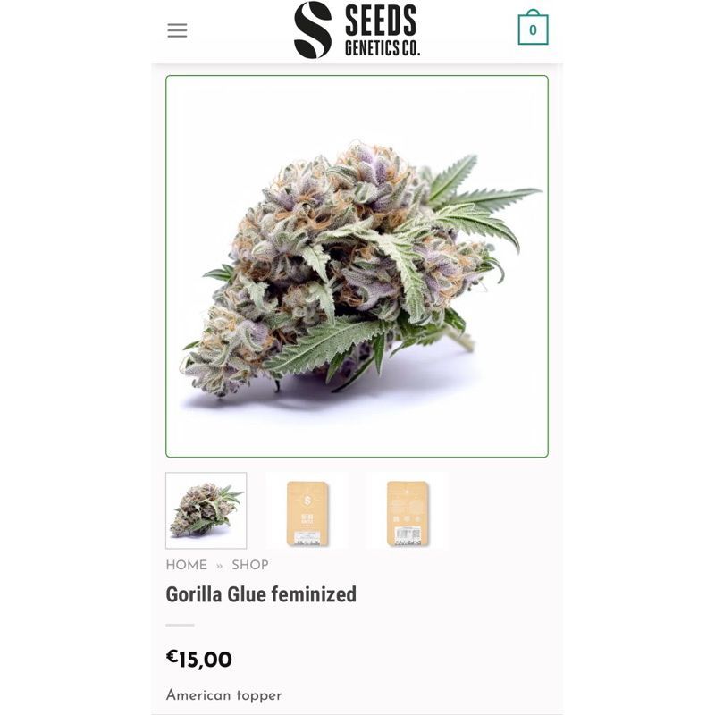 Gorilla Glue — 3