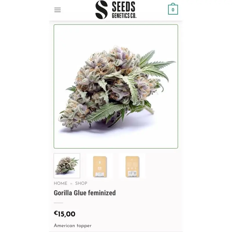 Gorilla Glue — 3